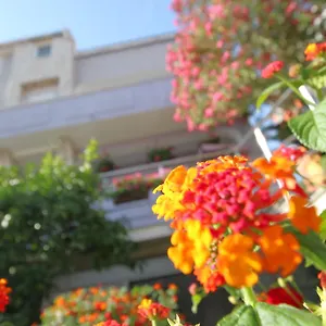  Apartment Pejic Kroatien